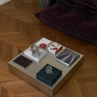 Table basse de salon moderne et minimaliste de style Bauhaus, en acier inoxydable durable et écologique, haut de gamme, pour les influenceurs