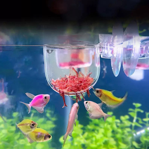 Fabriek <span class=keywords><strong>Aquarium</strong></span> Decoratie Opknoping <span class=keywords><strong>Aquarium</strong></span> Mini Kristal Acryl Glas Water Planten Cilinder Beker Voeding Accessoires - Product Image 1