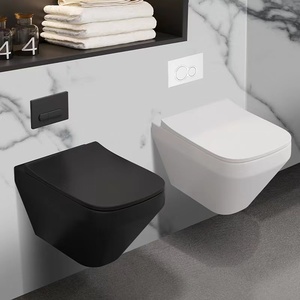 Sanitaires couleur mate dissimulé réservoir d'eau salle de bain flottant <span class=keywords><strong>suspendu</strong></span> placard mur <span class=keywords><strong>suspendu</strong></span> <span class=keywords><strong>toilette</strong></span> - Product Image 5