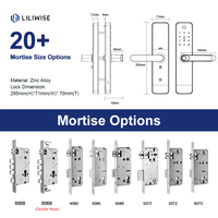 Cerraduras Inteligentes Personalizadas Liliwise, Cerradura de Puerta Wifi Tuya Ttlock, Manija Inteligente para Puerta, Cerradura Electrónica Inteligente, Cerradura Inteligente Alexa