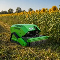 En gros, Tondeuse à fléaux sur chenilles 4 temps avec protection de chaîne métallique, coupeuse professionnelle 13 CV pour propriétés, parcs, jardins, terrains ouverts et usage utilitaire