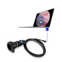 Caméra d'endoscopie vétérinaire portable avec source lumineuse pour une utilisation clinique dans les cliniques vétérinaires