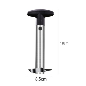 Stainless Steel Pineapple Slicers Spiral Knife Peeler Kitchen <b>Fruit</b> Platter Universal Corer <b>Tool</b> <b>Fruit</b> & <b>Vegetable</b> Accessories - Product Image 6