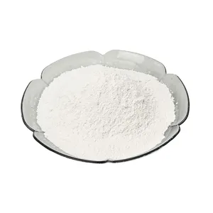 Vente en gros de poudre de calcaire blanc de haute qualité et au prix le moins cher du marché poudre de carbonate de calcium