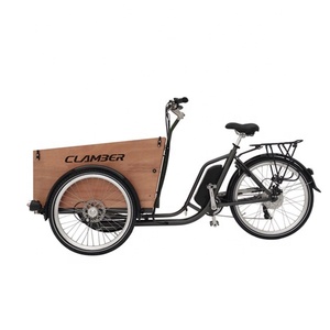 NOUVEAU STYLE <span class=keywords><strong>Vélo</strong></span> <span class=keywords><strong>cargo</strong></span> à <span class=keywords><strong>assistance</strong></span> <span class=keywords><strong>électrique</strong></span> à 3 roues <span class=keywords><strong>avec</strong></span> support pour adulte e-trike - Product Image 1
