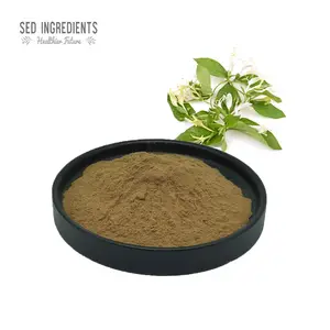 Chlorogenic Acids 10:1 20:1 Pure Natural Honeysuckle Flower Extract Powder 98%