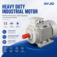 Motor Eléctrico Asíncrono de Inducción Trifásico IE3 de Grado Industrial de 15KW 20HP para Maquinaria Agrícola de Riego