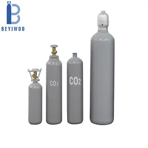 2L 5L 8L 10L 15L 20L 40L 50L 68L Steel Co2 Tank Gas Cylinder Carbon Dioxide Bottle For Aquarium Beverage Equipment Fire