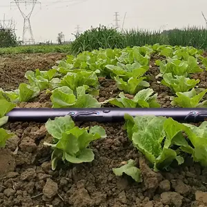 1ha d'irrigation par tuyau de pluie avec raccords
