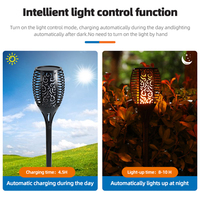 Prix bon marché lampe à flamme de danse solaire extérieure IP65 boîtier ABS étanche 5 W lampe de jardin solaire