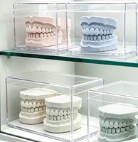 Caja de exhibición para modelos dentales, caja de almacenamiento para modelos dentales con tapa para modelos de estudio de ortodoncia y organizador dental