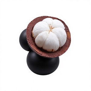 Mangostán Fresco de Grado de Exportación, Fruta Tropical Naturalmente Dulce para Distribuidores de Mercado Fresco en Vietnam - Product Image 1