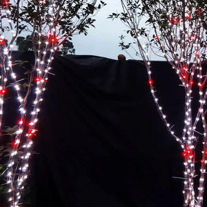 ไฟ LED สี RGB เต็มรูปแบบ 26 นิ้ว ตกแต่งต้นคริสต์มาส วันหยุด งานแต่งงาน - Product Image 4