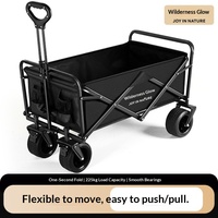 Chariot de camping pliable d'extérieur Wilderness Light-Capturing Camper, petite remorque de pique-nique, grand véhicule de camping, les enfants peuvent s'allonger, noir