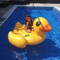 Nouvelle conception, grande flotteuse gonflable en PVC pour piscine, couleur personnalisée, marque Hemei, taille 147 cm