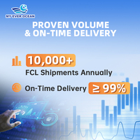 Agent d'expédition DDP, livraison de fret maritime et aérien porte-à-porte, services logistiques Amazon FBA, transitaire de Chine vers les États-Unis