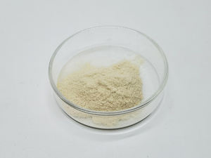 Polysaccharid 60% Nahrungsergänzungsmittel oder Getränkezutat <span class=keywords><strong>Euglena</strong></span>-Pulver - Product Image 6