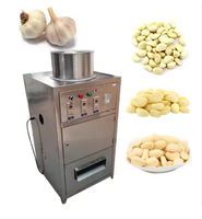 Machine à éplucher l'ail, les fruits et les légumes commerciale entièrement automatique Équipement à haute efficacité par le fabricant