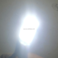 Pièces et accessoires automobiles, éclairage automobile, compatible Canbus, ampoule LED de stationnement pour voiture T10 (10 LED SMD3030) pour rénovation/mise à niveau