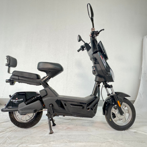 Nouvelle <span class=keywords><strong>moto</strong></span> électrique EEC 800w 48V 60v 20AH deux roues avec 2 places vélo électrique adulte 25kmh homologation en Europe - Product Image 1