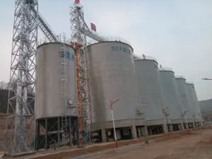 Farm Poultry Feed Mill Used 50 100 200 500 1000 Ton Corn Wheat Soybeans Animal Poultry Feed Storage Silo