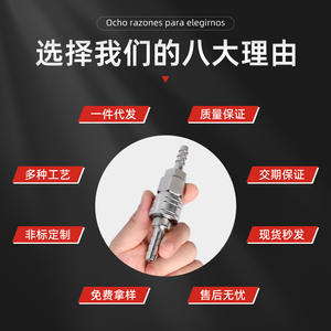 Customized 304 Stainless Steel Quick-Connect C-Type Self-Locking Air Pump/Compressor Pneumatic Male/<b>Female</b> <b>Connector</b> for Various - Product Image 3