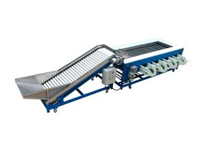 Machine de tri automatique de légumes et de fruits, équipement durable à prix d'usine, contrôlée par PLC, en acier inoxydable 304, pour calibrage de taille - Product Image 2