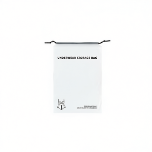 Travel 20*30cm Underwear <b>Storage</b> Bag Single Piece (1PZ) <b>Clothes</b> Organizer - Product Image 2