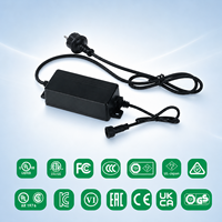 Chargeur personnalisé ignifuge et étanche IP67 pour tondeuse à gazon électrique intelligente, chargeur extérieur automatique et écologique