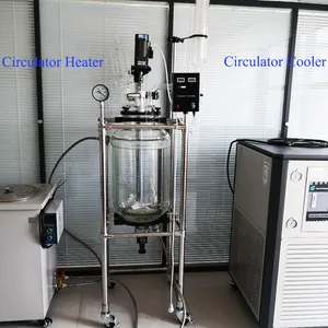 Lab Mixing Tank Heater Cooler Stirred Tank Reactor 50L 50 L Glass Reactor with Circulator