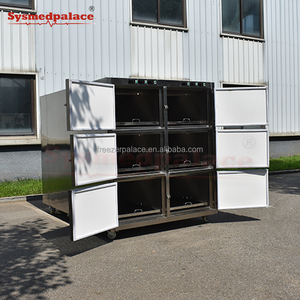 Congeladores para Morgue de 6 Compartimentos SYSMEDICAL, Gabinete de Almacenamiento de Cadáveres, Enfriadores Mortuorios y Cajas para Cadáveres, Fabricante de Artículos Funerarios - Product Image 5