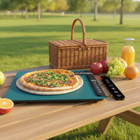 Plateau chauffant électrique en silicone, chauffe-aliments pliable, tapis chauffant enroulable, plaque chauffante extra-large à température constante
