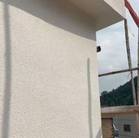 Revêtement anti-moisissure à texture pierre, peinture pierre véritable résistante aux intempéries, idéale pour la protection des murs extérieurs des bâtiments côtiers