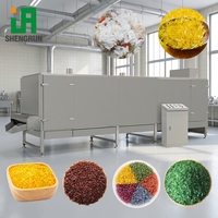 Ligne de production entièrement automatique à haute efficacité pour la fabrication de granulés de riz fortifiés et reconstitués en acier inoxydable