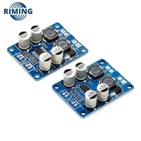New and Original TPA3118 30W 60W Mono Digital Audio Power Amplifier Board DC 12V-24V
