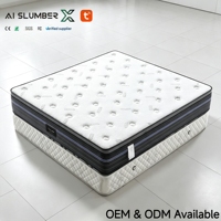 Ai Slumber X Matelas intelligent moderne réglable King Size, durable, avec housse en tissu chauffante, écologique, fermeté moyenne, pour la santé et l'usage domestique