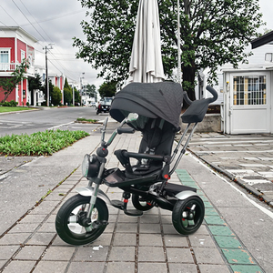 Baby Kids Tricycle 3-Wheel <strong>with</strong> Canopy Cover Plastic Frame Folding Rotating Seat <strong>Parent</strong> Push <strong>Handle</strong> <strong>Trike</strong> for 2-4 Years - Product Image 6