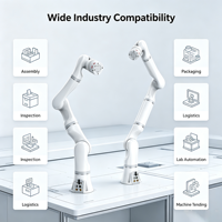 Bras robotisé Hirobot à longue portée personnalisé, commande PLC, charge utile élevée, manipulateur de soudage avec moteur, boîte de vitesses, roulement, pompe