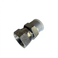 Raccord hydraulique droit en acier au carbone et acier inoxydable sur mesure, filetage BSP