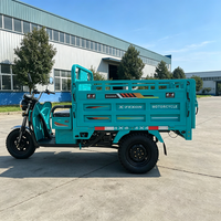 Tricycle de transport agricole personnalisé à moteur refroidi par air, robuste, avec double amortisseur arrière à ressort rouge pour routes accidentées