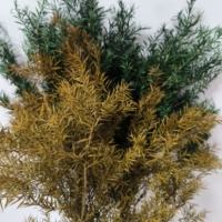 Fabrieksgroothandel Echt Natuurlijk Droog Geconserveerd Gebladerte Geconserveerd Verse Bloemen & Planten Melaleuca Bracteata Voor Bloemstuk