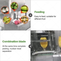 Kiwi Avocado Ananas Citrusvruchten Dunschiller Schil Kernmachine