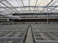 Serre multi-chapelles de style Venlo en acier avec parois en verre/PC pour l'agriculture et la croissance des plantes