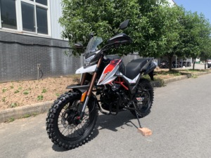 Motocyclettes chinoises FUEGO <span class=keywords><strong>TEKKEN</strong></span> <span class=keywords><strong>2</strong></span> Eec Motocyclette pas chère à vendre <span class=keywords><strong>TEKKEN</strong></span> II 22110105 - Product Image 3
