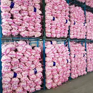 China leading garlic /fresh garlic /ajo china wholesale onion garlic vegetable mesh bag