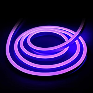 Bande lumineuse LED flexible monochrome néon violette - Haute luminosité - Décoration extérieure lumineuse - Product Image 1