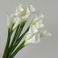 Bunga Calla Lily Buatan PU Sentuhan Realistis Warna Putih 60 cm untuk Dekorasi Pernikahan dan Rumah