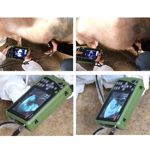 베스트 셀러 목가적 인 듀오 목장 <span class=keywords><strong>HD</strong></span> 큰 동물 (소/말) B 초음파 컬러 도플러 임신 진단 기기 CE - Product Image 5