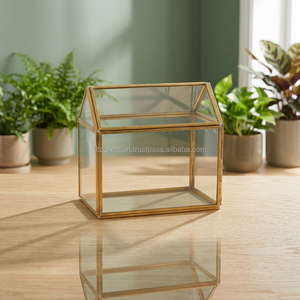 Terrario de cristal geométrico para plantas de interior, marco de metal, alta calidad - Product Image 2