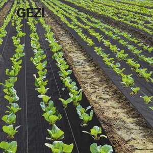 Anti rejilla Weed Barrier Control Bloqueador libre Protección a prueba de prevención Mat Paisaje Tela Cubierta de suelo Anti-Hierba Tela de <span class=keywords><strong>malla</strong></span> - Product Image 6